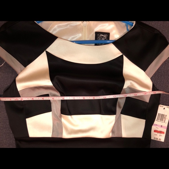 🔥Sale!🔥 NWT JAX Dress (6) - Picture 4 of 8